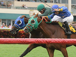 Backseat Memories/Grand Tito dead heat in 2013 Showing Up Stakes.