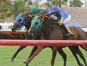 Backseat Memories/Grand Tito dead heat in 2013 Showing Up Stakes.