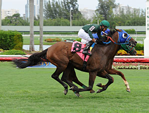 Backseat Memories/Grand Tito dead heat in 2013 Showing Up Stakes.