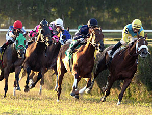 Bad Debt wins the 2012 Bonnie Heath Turf Cup.