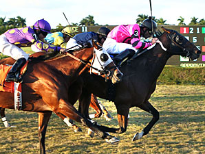Bad Debt wins the 2012 Bonnie Heath Turf Cup.