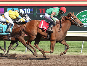 Badge of Glory wins the 2013 Frances Genter Stakes.