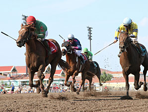 Badge of Glory wins the 2013 Frances Genter Stakes.