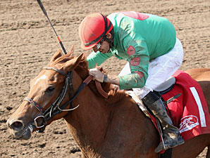 Badge of Glory wins the 2013 Frances Genter Stakes.