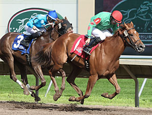Badge of Glory wins the 2013 Minnesota Oaks.