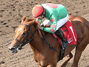Badge of Glory wins the 2013 Minnesota Oaks.