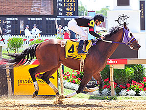 Baileys Beach wins the 2012 Deputed Testamony Starter Handicap.
