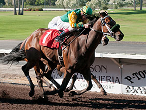 Bailouttheminister wins the 2012 the Sam J. Whiting Memorial Handicap.