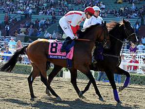Balance the Books - 2012 Breeders' Cup.