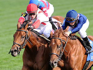 Balance the Books wins the 2012 Bourbon Stakes.