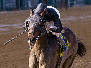 Baltimore Belle wins the 2011 Dahlia.
