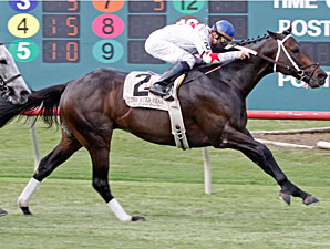 Baltimore Bob wins the 2011 Grand Prairie Turf Challenge.