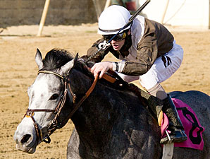 Bandbox wins the 2011 Private Terms.