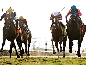 Banned wins the Del Mar Derby.