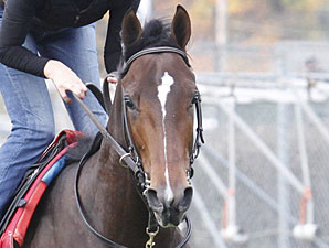 Banned working at Churchill Downs.