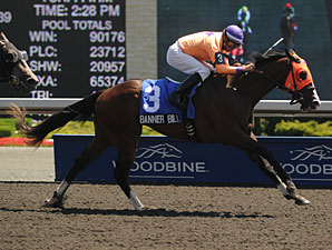Banner Bill wins the 2011 Colin Stakes.