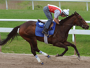 Bantee - Woodbine, May 28, 2012.