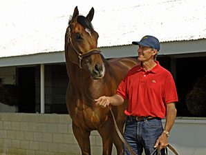 Barbaro and Michael Matz