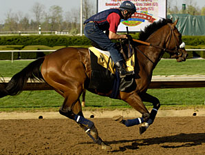 Barbaro at Keeneland, April 15, 2006.