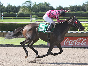 Battle of Love wins the 2011 Three Ring Stakes.