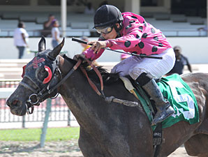 Battle of Love wins the 2011 Three Ring Stakes.