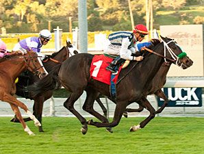 Bauble Queen wins the 2012 Frankel.