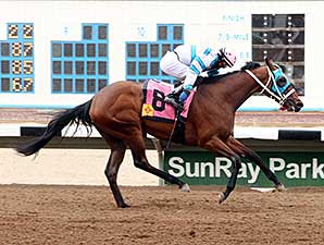 Be My Desert Angel wins the 2014 Aztec Oaks.