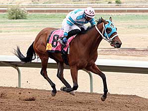 Be My Desert Angel wins the 2014 Aztec Oaks.