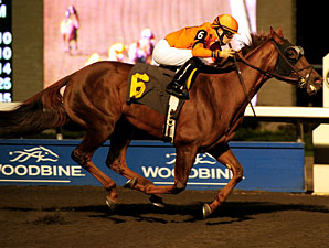 Bear It's Time wins the 2011 Classy 'n Smart Stakes.