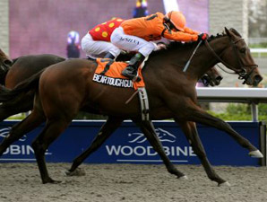 Bear Tough Guy Claws Out Grey Stakes Victory Bear Tough Guy Claws Out Grey Stakes Victory