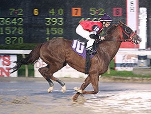 Bedazzle Seattle - New Track Record, Delta Downs, March 15, 2014.