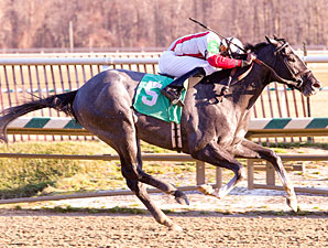 Beggarthyneighbor wins the 2012 Dancing Count.