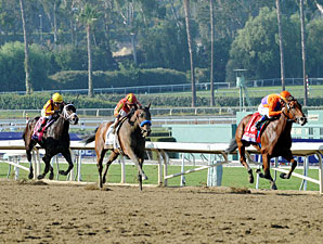 Beholder wins the 2012 Breeders' Cup Juvenile Fillies.