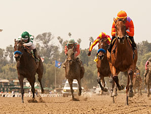 Beholder wins the 2013 Santa Anita Oaks.