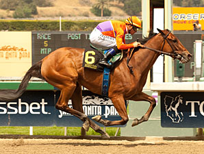 Beholder wins the 2013 Santa Anita Oaks.