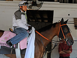 Beholder - Churchill Downs, May 1, 2013