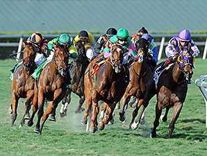 Believe In Charlie wins the Ladies Turf Sprint.
