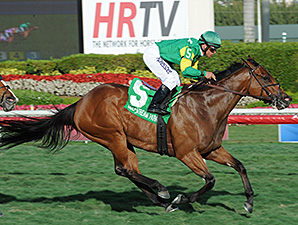 Believe In Charlie wins the Ladies Turf Sprint.