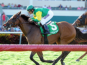 Believe In Charlie wins the Ladies Turf Sprint.