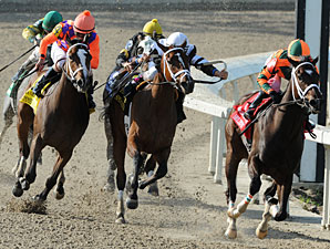 Believe You Can wins the 2012 Fair Grounds Oaks.