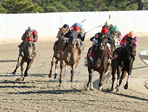 Bella Medaglia wins the 2012 Treasure Chest.