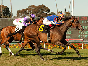 Belle Royale wins the Gamely Stakes.