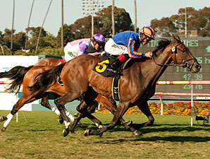 Belle Royale wins the Gamely Stakes.