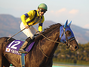 Belshazzar wins the Japan Cup Dirt.