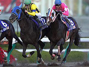 Belshazzar wins the Japan Cup Dirt.