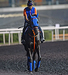 Belshazzar, Dubai World Cup 2014
