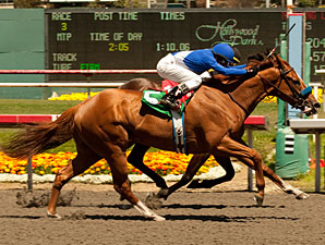 Bench Points wins the Laz Berrea.