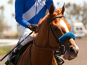 Bench Points wins the Laz Berrea.