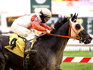 Ben's Cat wins the 2011 Mister Diz Stakes.