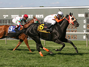 2006 The Blood-Horse Magazine #49: Magical Romance Sets Record at Tattersalls 2006 The Blood-Horse Magazine #49: Magical Romance Sets Record at Tattersalls
